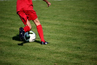 星空体育官方入口-中国足球青训体系引进国际先进训练理念，中国足球青训体系是什么